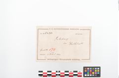 Etiketten zu Bronzehalbmondgehängefibel (NHMW-PRAE-024251)
